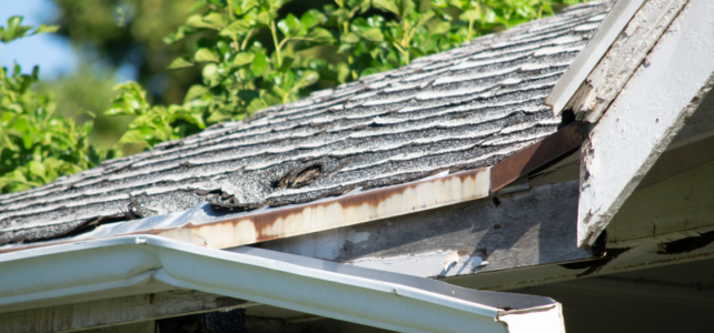 Emergency Roof Repair